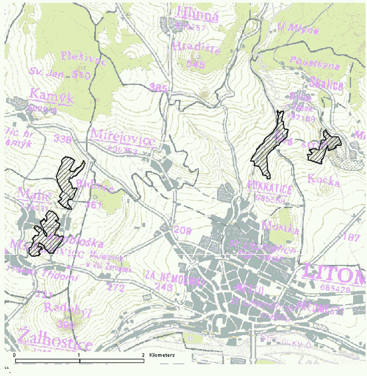 Obrázek