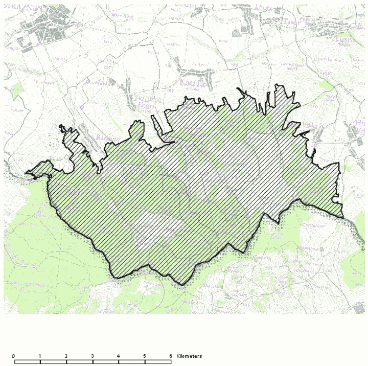 Obrázek