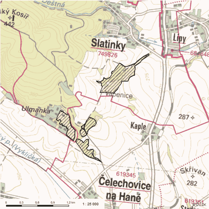 Obrázek