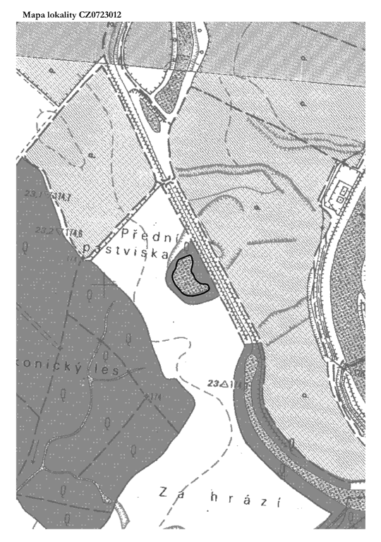 Obrázek