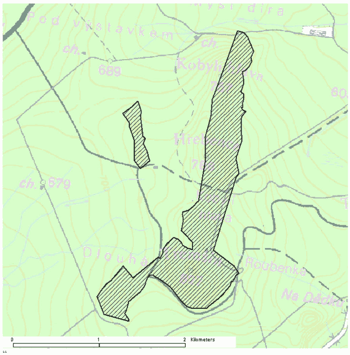 Obrázek