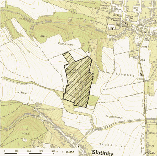 Obrázek