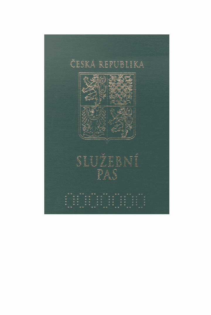 Obrázek