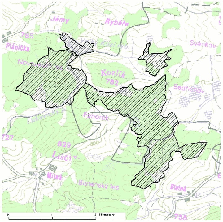 Obrázek