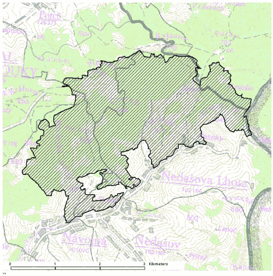 Obrázek