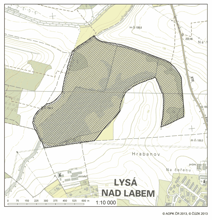 Obrázek