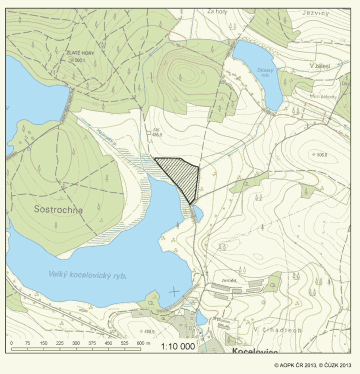 Obrázek