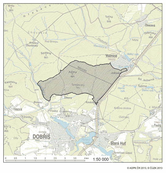 Obrázek