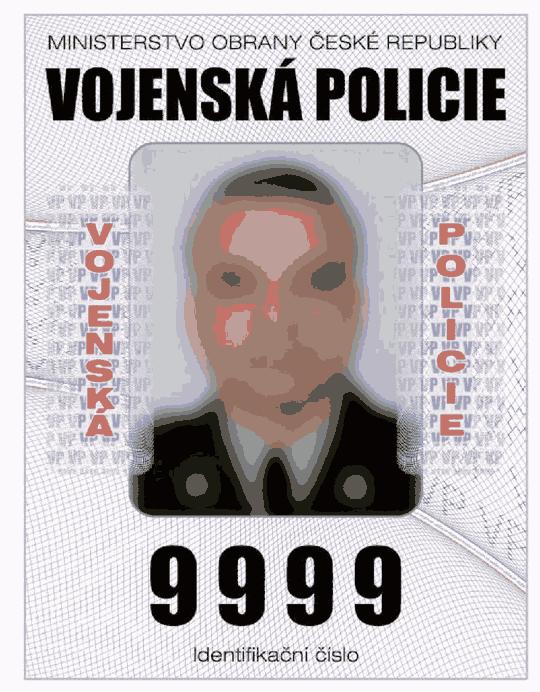 Obrázek