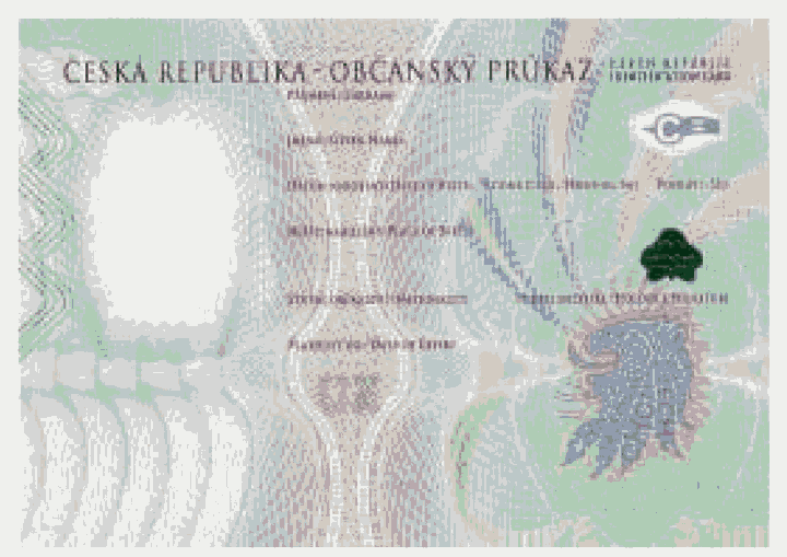 Obrázek