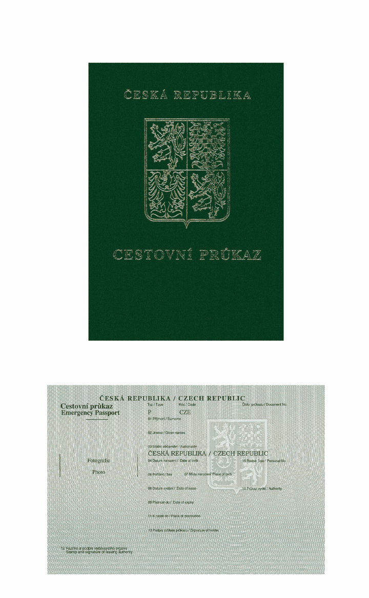 Obrázek