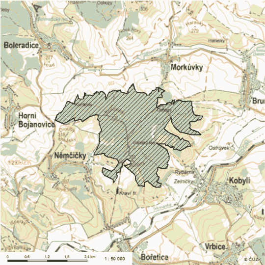 Obrázek