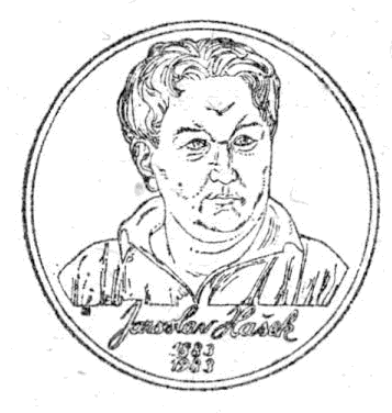 Obrázek