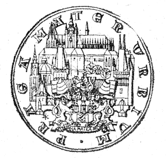 Obrázek