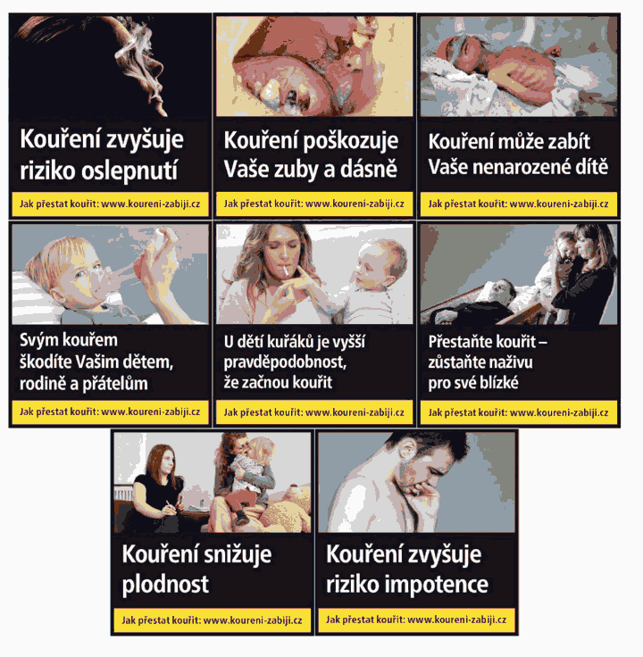 Obrázek