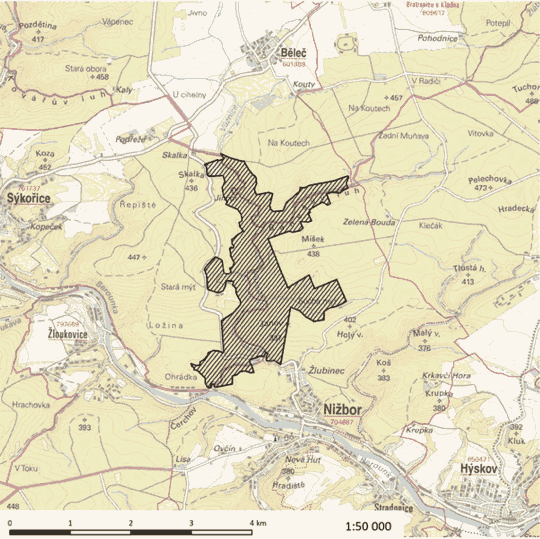 Obrázek