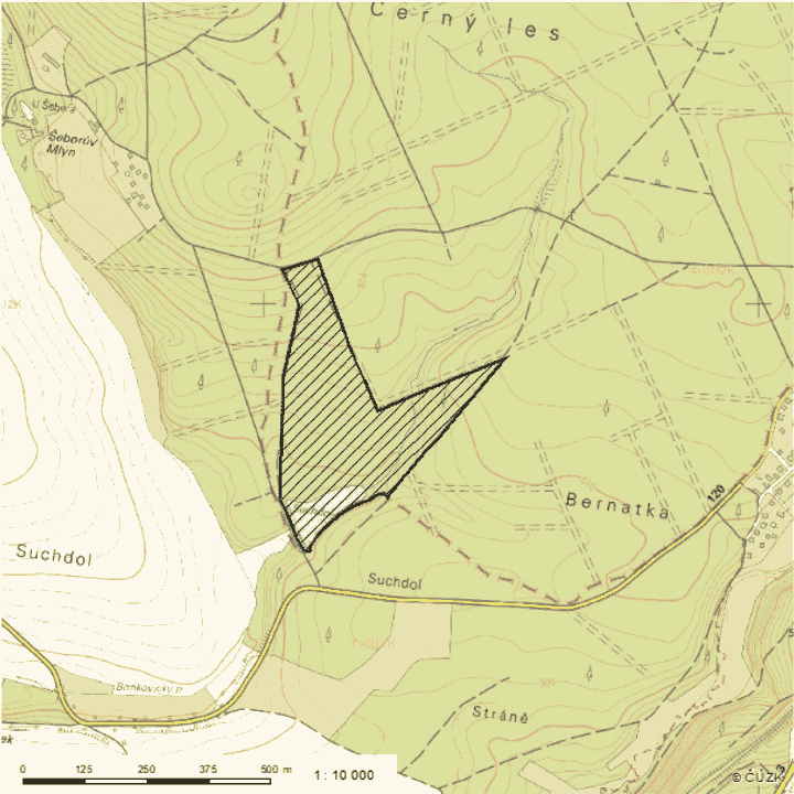 Obrázek