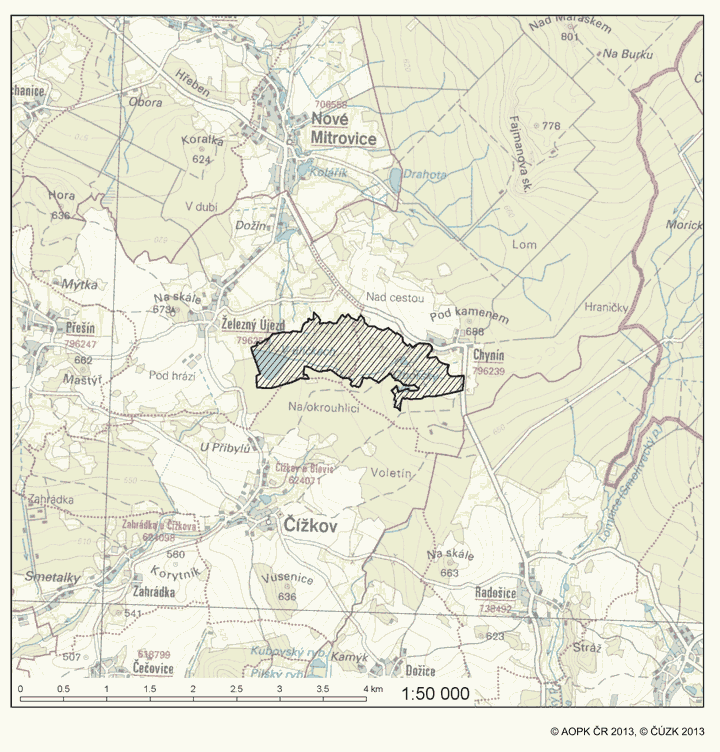 Obrázek