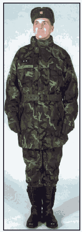 Obrázek