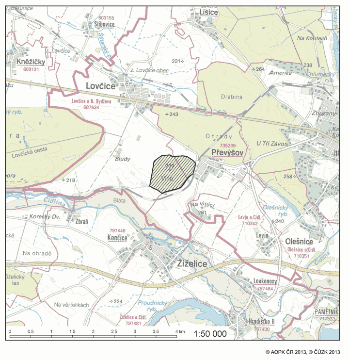 Obrázek