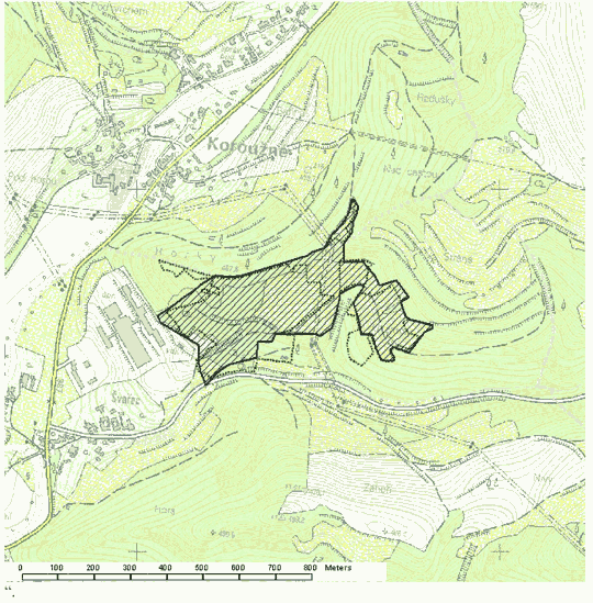 Obrázek