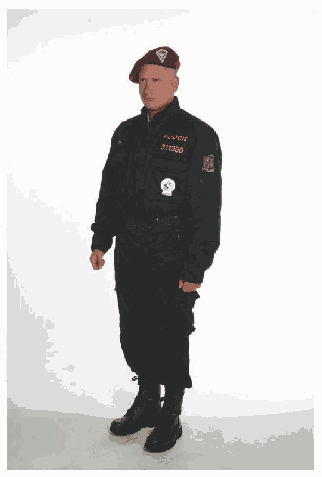Obrázek
