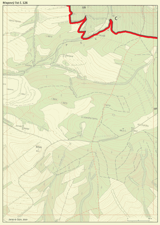 Obrázek