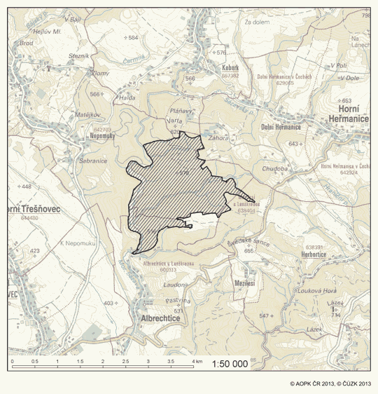 Obrázek