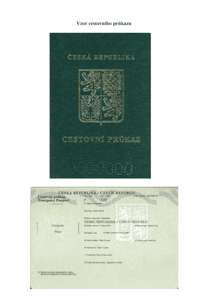 Obrázek