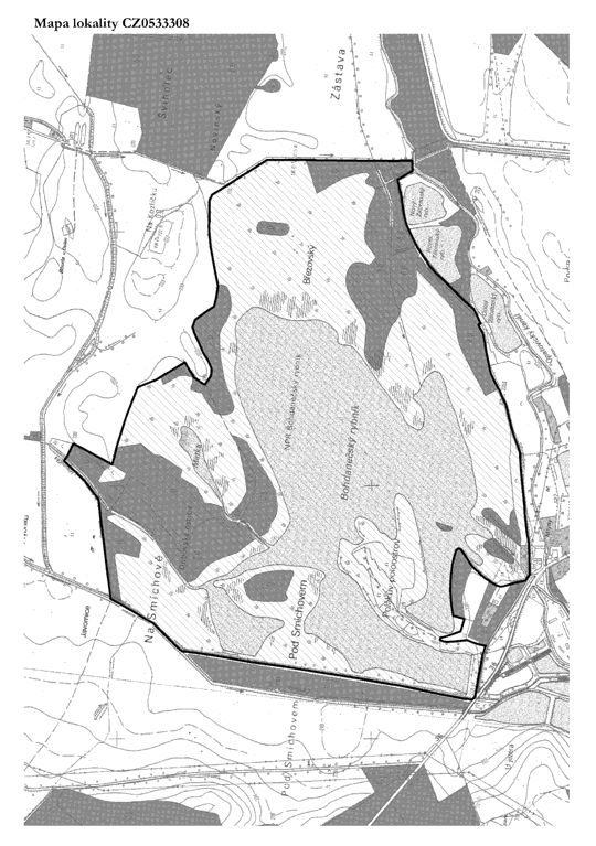Obrázek