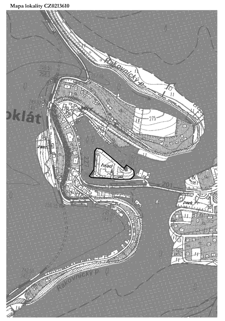 Obrázek