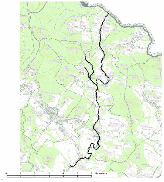 Obrázek