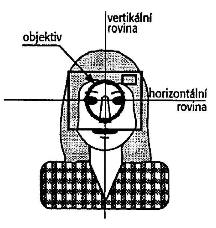 Obrázek