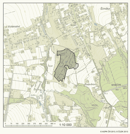 Obrázek