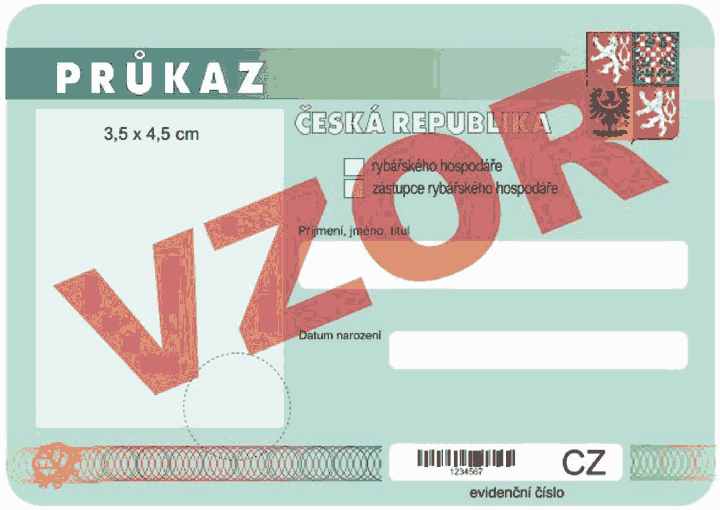 Obrázek