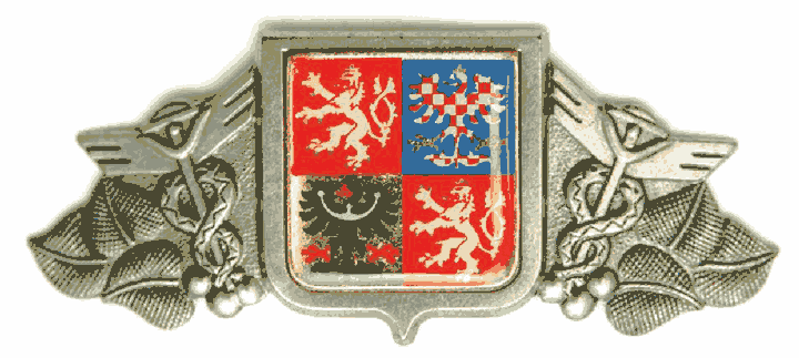 Obrázek
