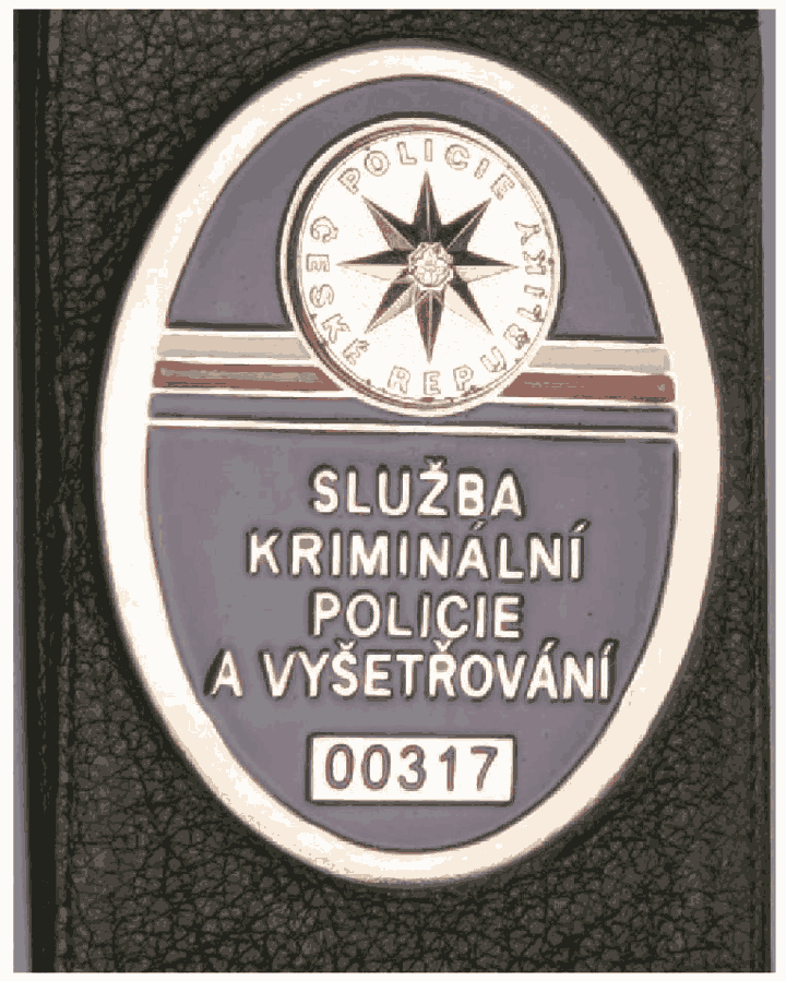 Obrázek