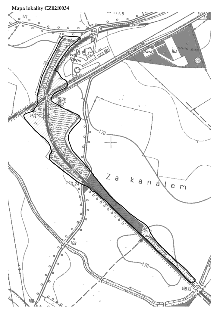 Obrázek