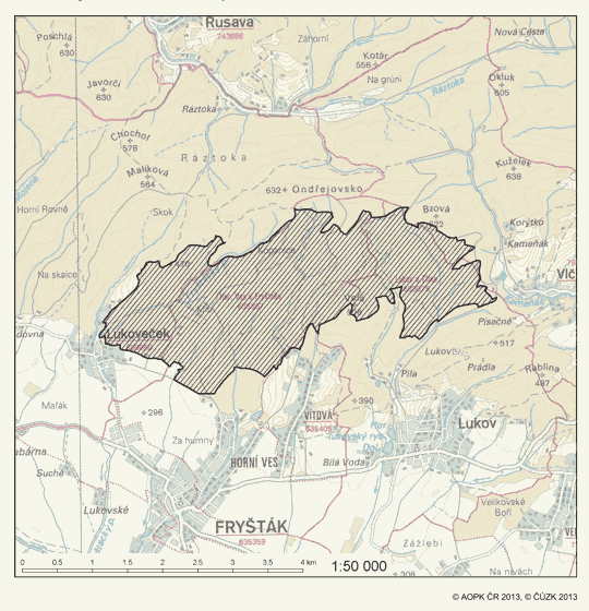 Obrázek
