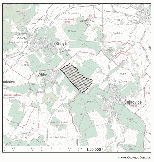 Obrázek