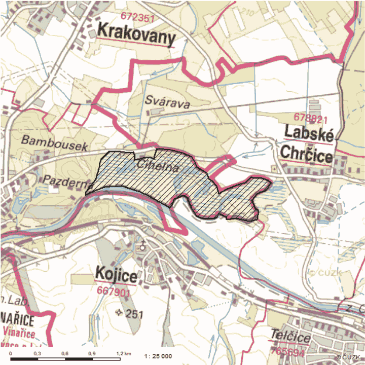 Obrázek