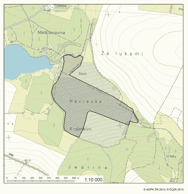 Obrázek