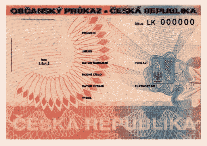 Obrázek