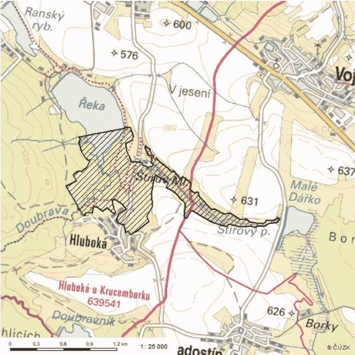 Obrázek