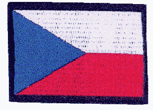 Obrázek