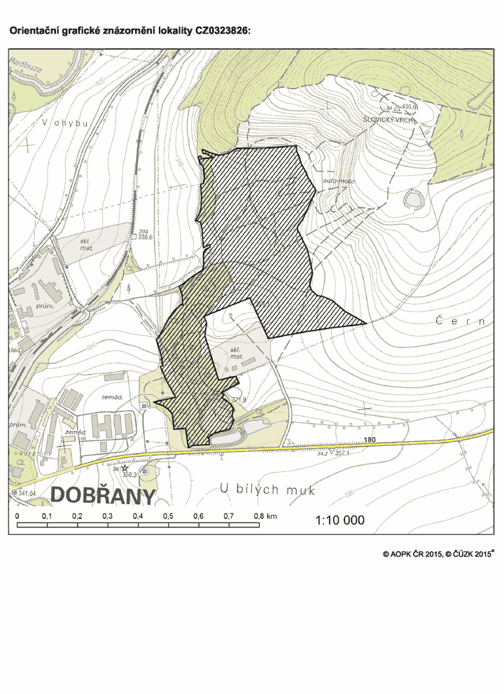 Obrázek