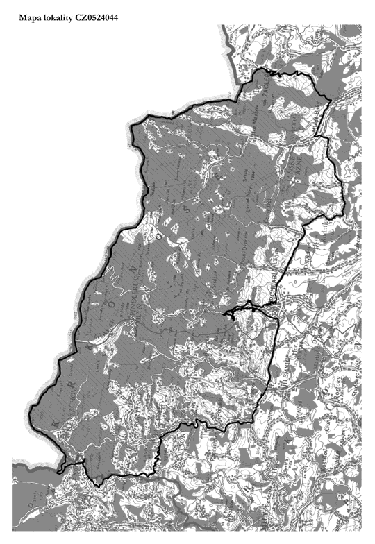 Obrázek