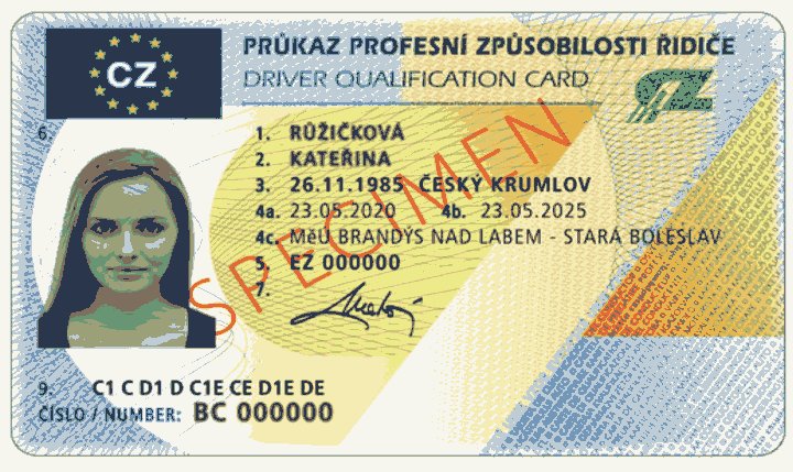 Obrázek