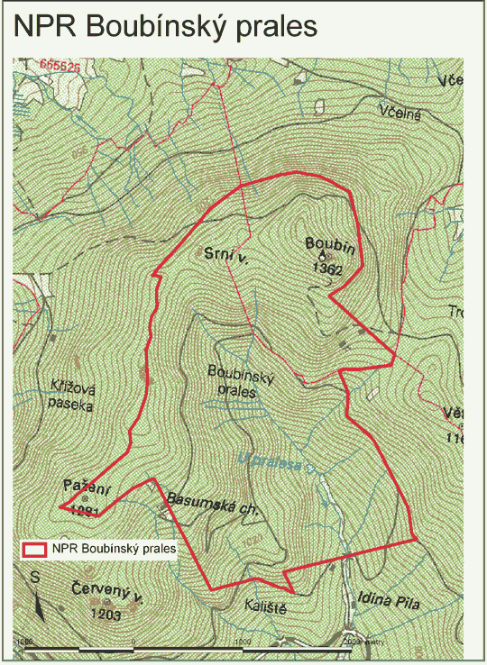 Obrázek