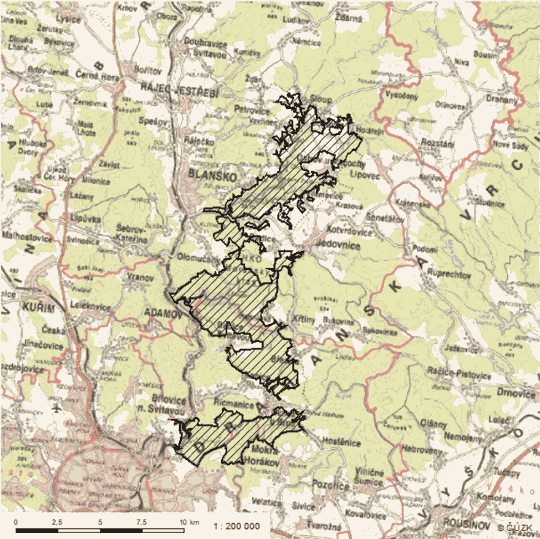 Obrázek